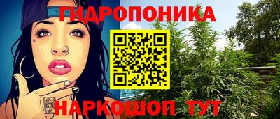 гидропоника Берёзовский