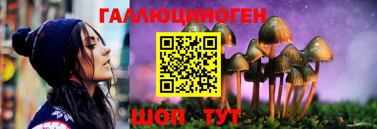 Псилоцибиновые грибы GOLDEN TEACHER Звенигород