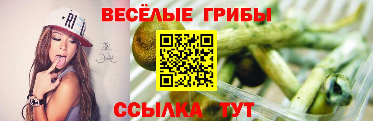 Звенигород  Галлюциногенные грибы GOLDEN TEACHER  Вход с VPN  Псилоцибиновые грибы MAGIC MUSHROOMS 